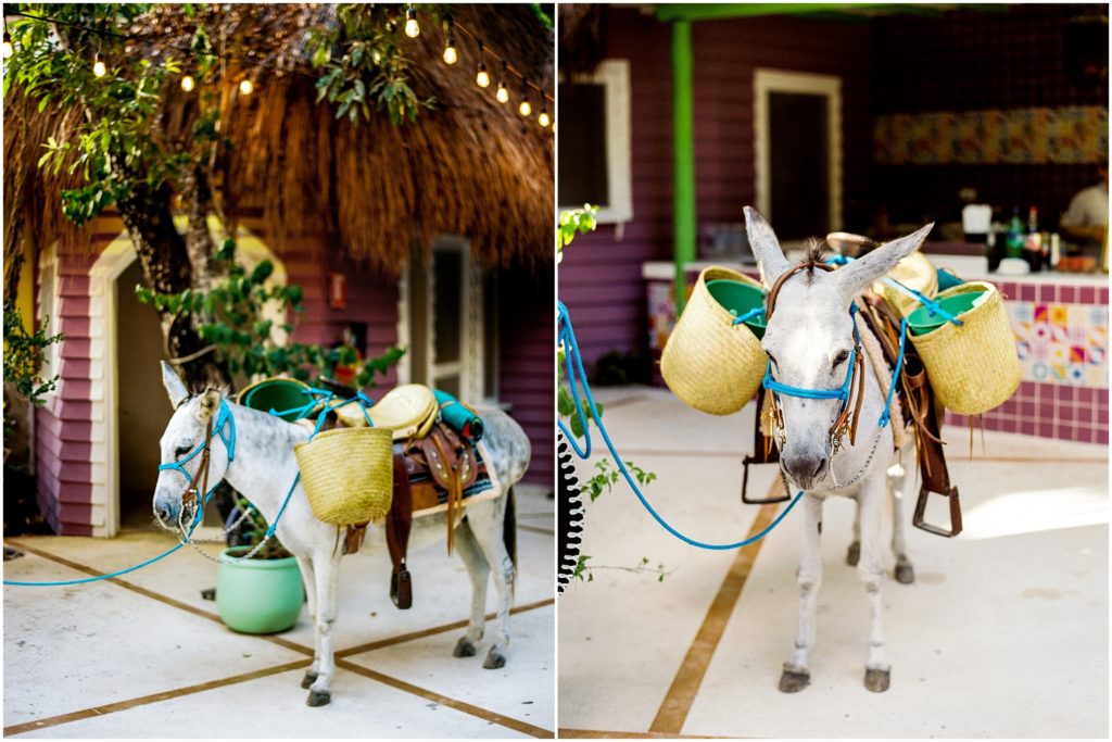 El Dorado Royale Resort Wedding by Destination Wedding Photographer Jessica Manns Photography