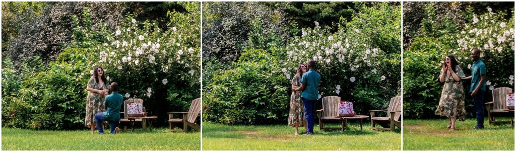 Rockwood Park Wilmington Delaware Proposal by Delaware Wedding Photographer Jessica Manns Photography